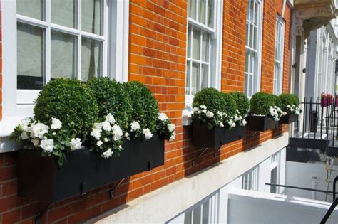 decorative metal trough window box|evergreen window box plants uk.